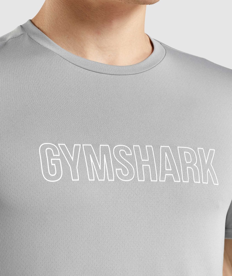 Gymshark Príchod Grafické Tričko Smokey Grey