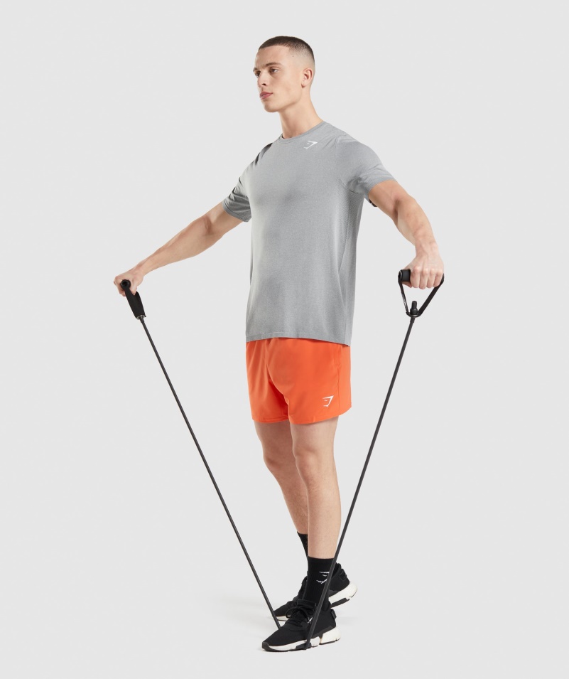 Gymshark Príchod Bezšvové Tričko šedé