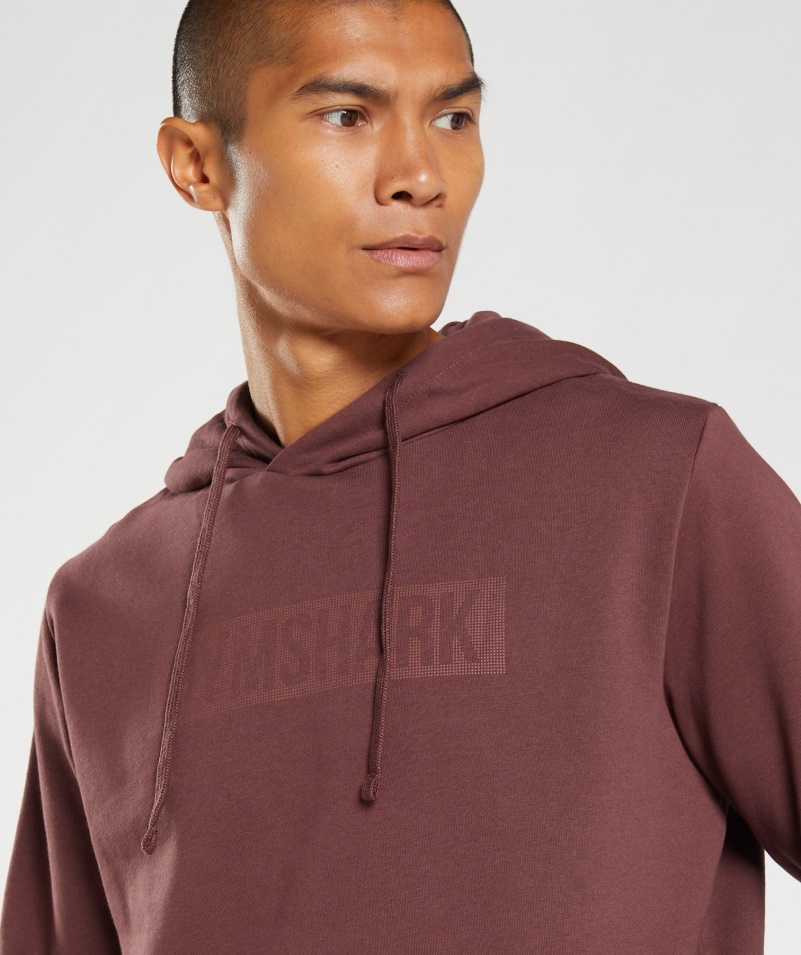 Mikina S Kapucňou Gymshark Block Cherry Hnedá