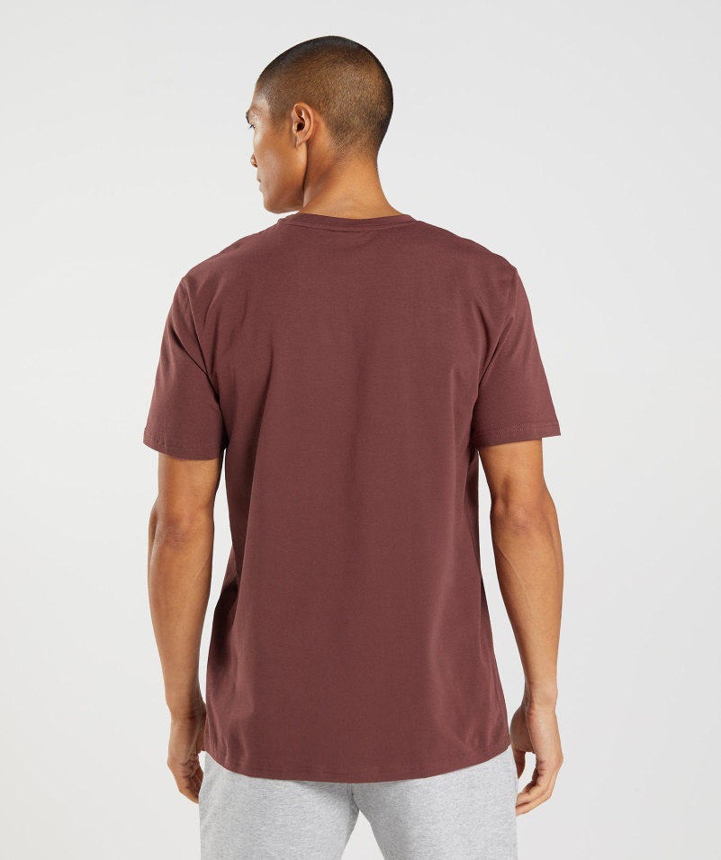 Tričko Gymshark Block Cherry Hnedé