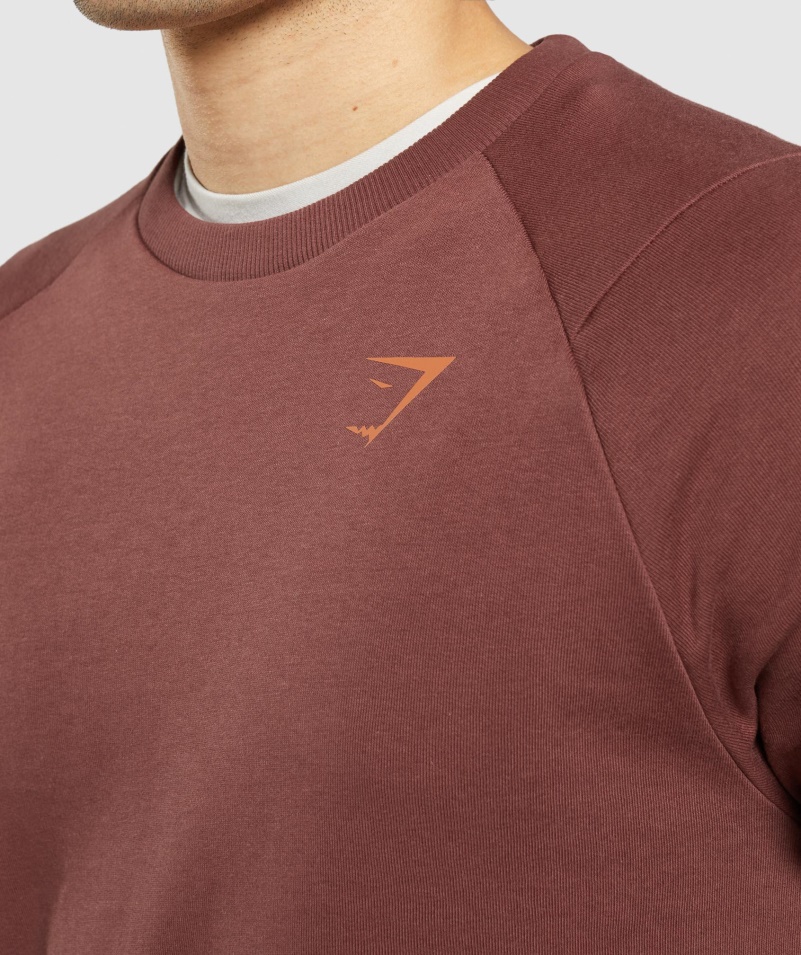 Gymshark Bold Crew čerešňovo Hnedá