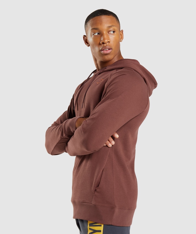 Mikina S Kapucňou Gymshark Bold čerešňovo Hnedá