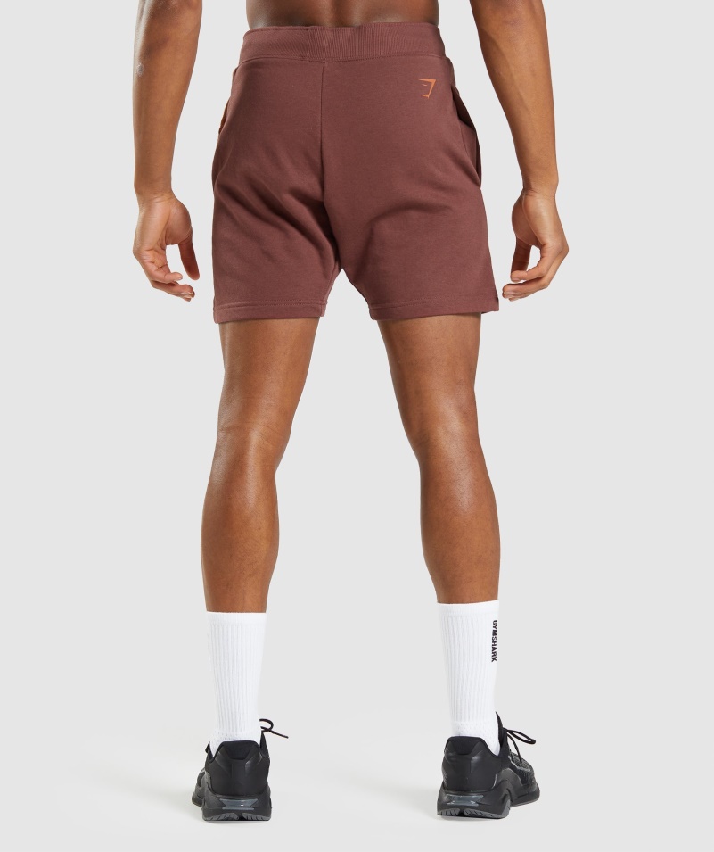 Gymshark Výrazné šortky čerešňovo Hnedé