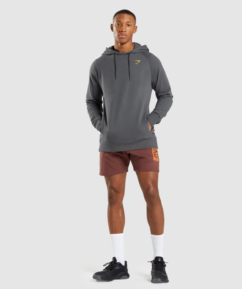 Gymshark Výrazné šortky čerešňovo Hnedé