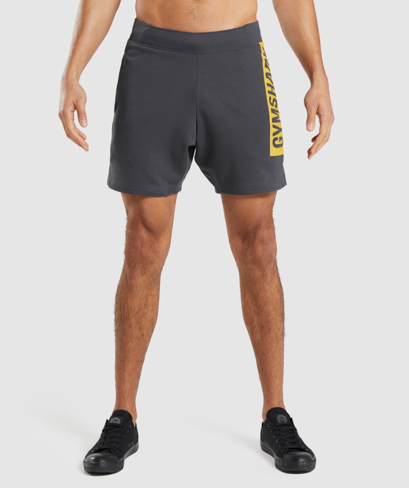 Gymshark Odvážne šortky ónyx Sivej Farby