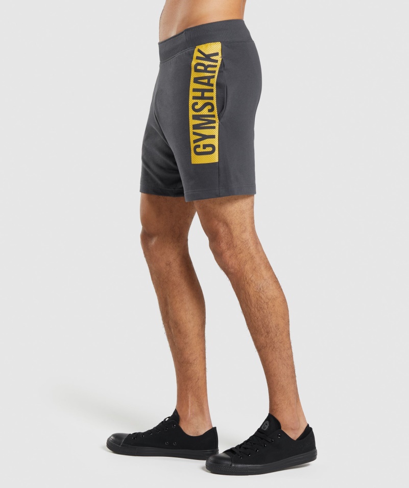 Gymshark Odvážne šortky ónyx Sivej Farby
