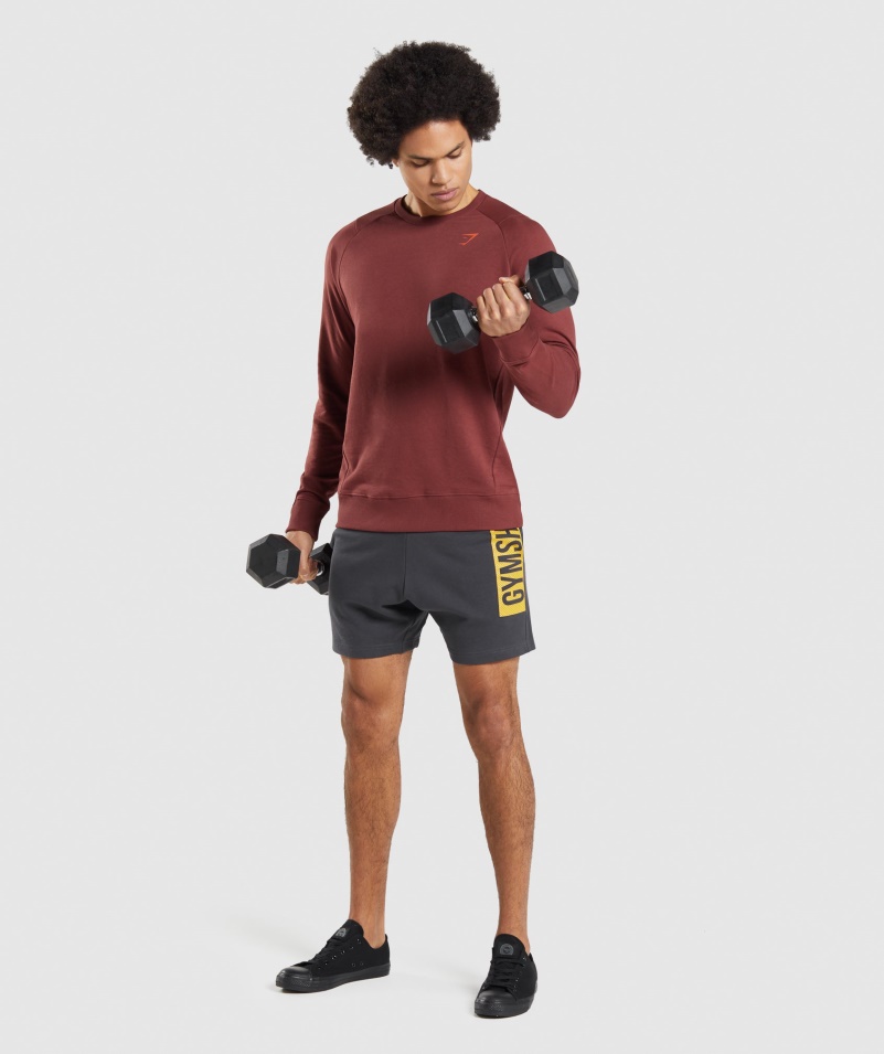 Gymshark Odvážne šortky ónyx Sivej Farby