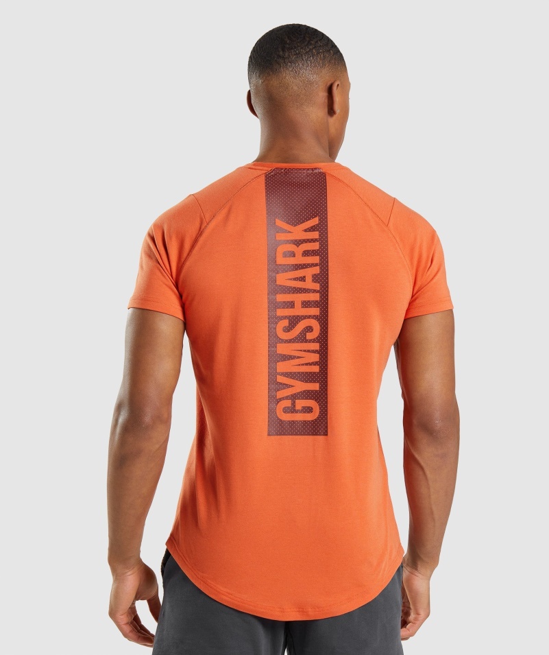 Gymshark Odvážne Tričko Hlinené Oranžové