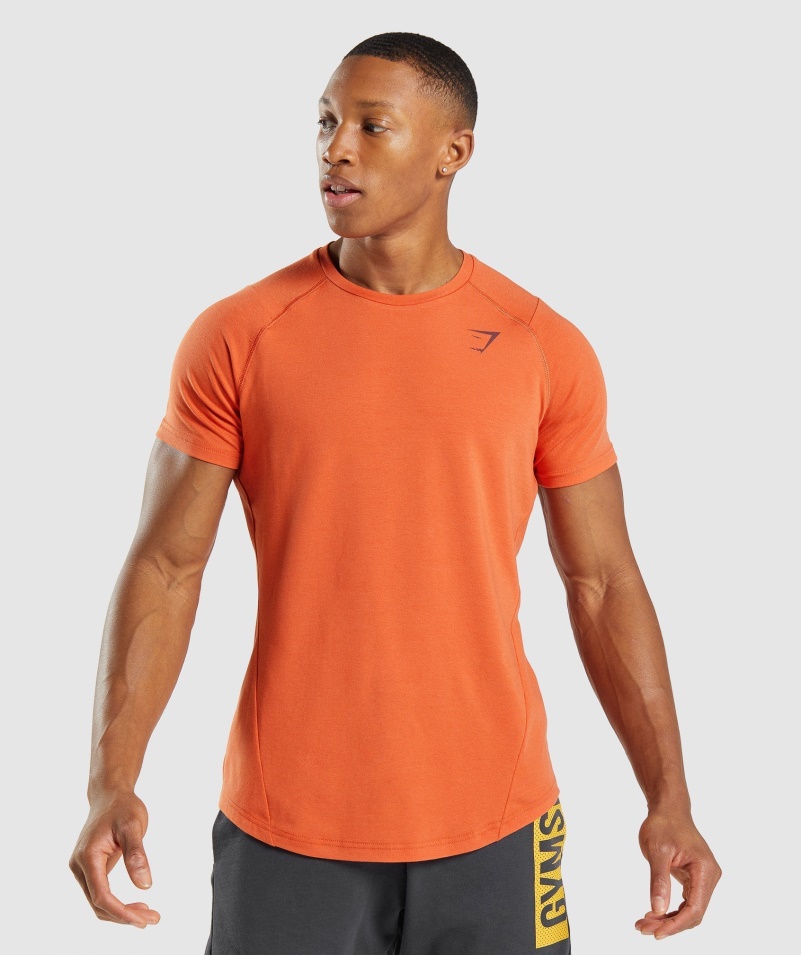 Gymshark Odvážne Tričko Hlinené Oranžové