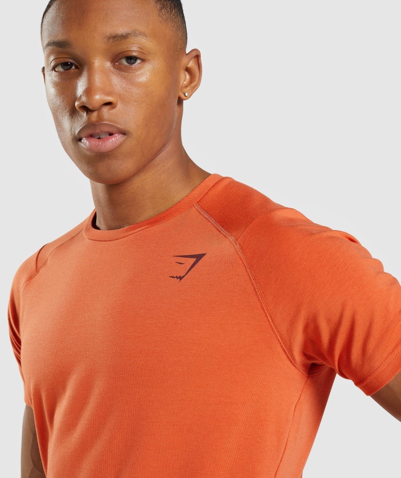 Gymshark Odvážne Tričko Hlinené Oranžové