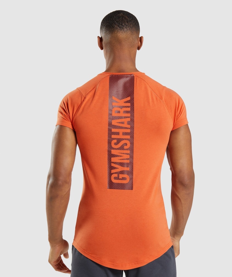 Gymshark Odvážne Pánske Tričko Antukovo Oranžové