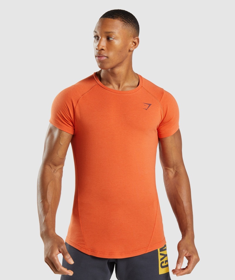 Gymshark Odvážne Pánske Tričko Antukovo Oranžové