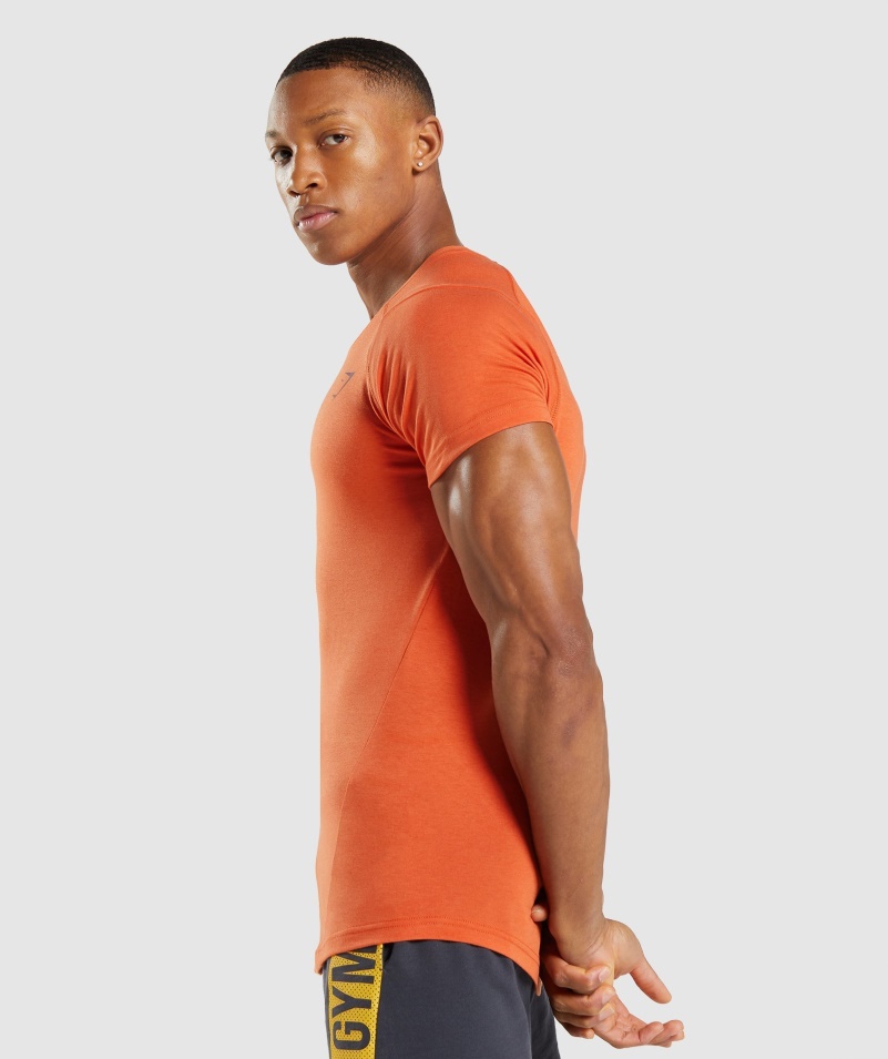 Gymshark Odvážne Pánske Tričko Antukovo Oranžové