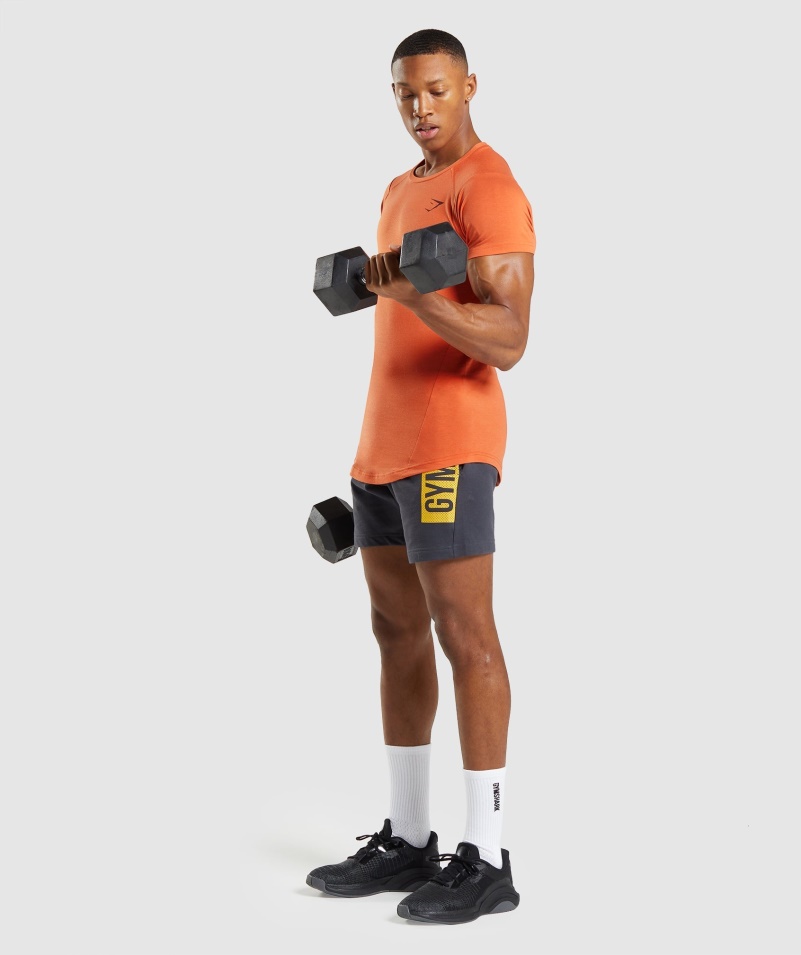 Gymshark Odvážne Pánske Tričko Antukovo Oranžové