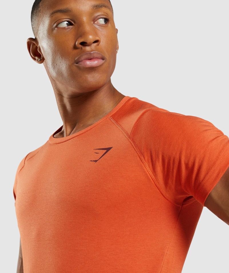 Gymshark Odvážne Pánske Tričko Antukovo Oranžové