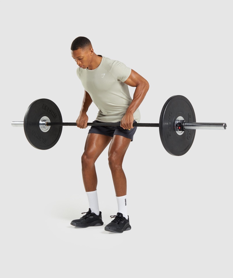 Gymshark Odvážne Tričko štrkovo šedé