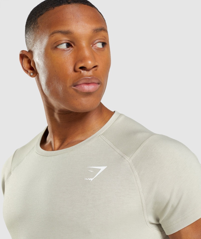 Gymshark Odvážne Tričko štrkovo šedé