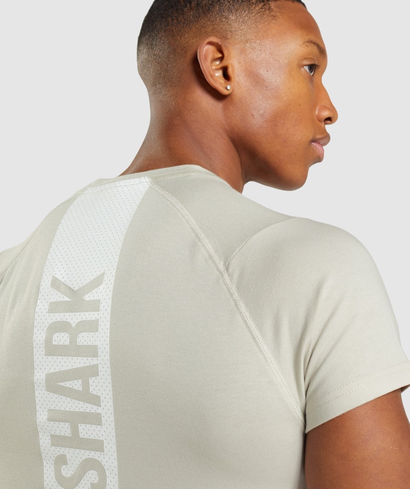 Gymshark Odvážne Tričko štrkovo šedé