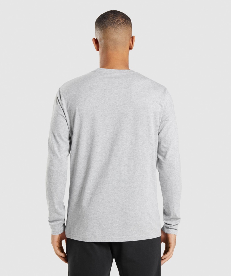 Gymshark Crest Tričko S Dlhým Rukávom Svetlosivé Jadro Marl