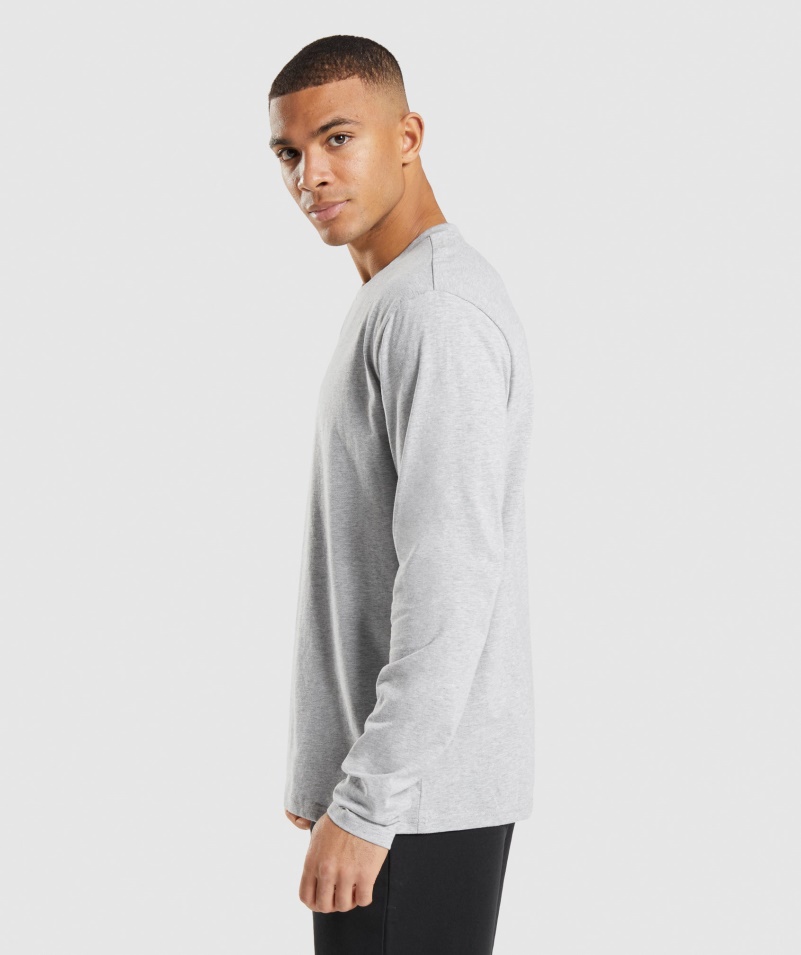 Gymshark Crest Tričko S Dlhým Rukávom Svetlosivé Jadro Marl