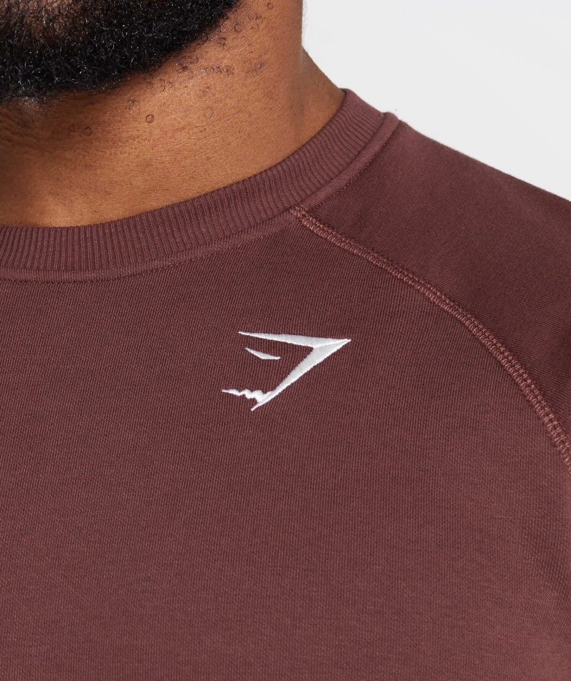 Mikina Gymshark Crest Cherry Hnedá