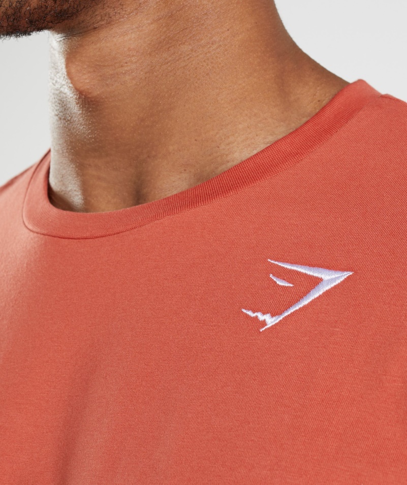 Tričko Gymshark Crest Búrkové červené
