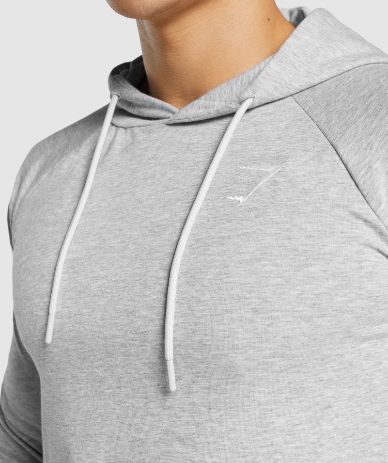 Mikina S Kapucňou Gymshark Kritická 2.0 Svetlo šedá Marl