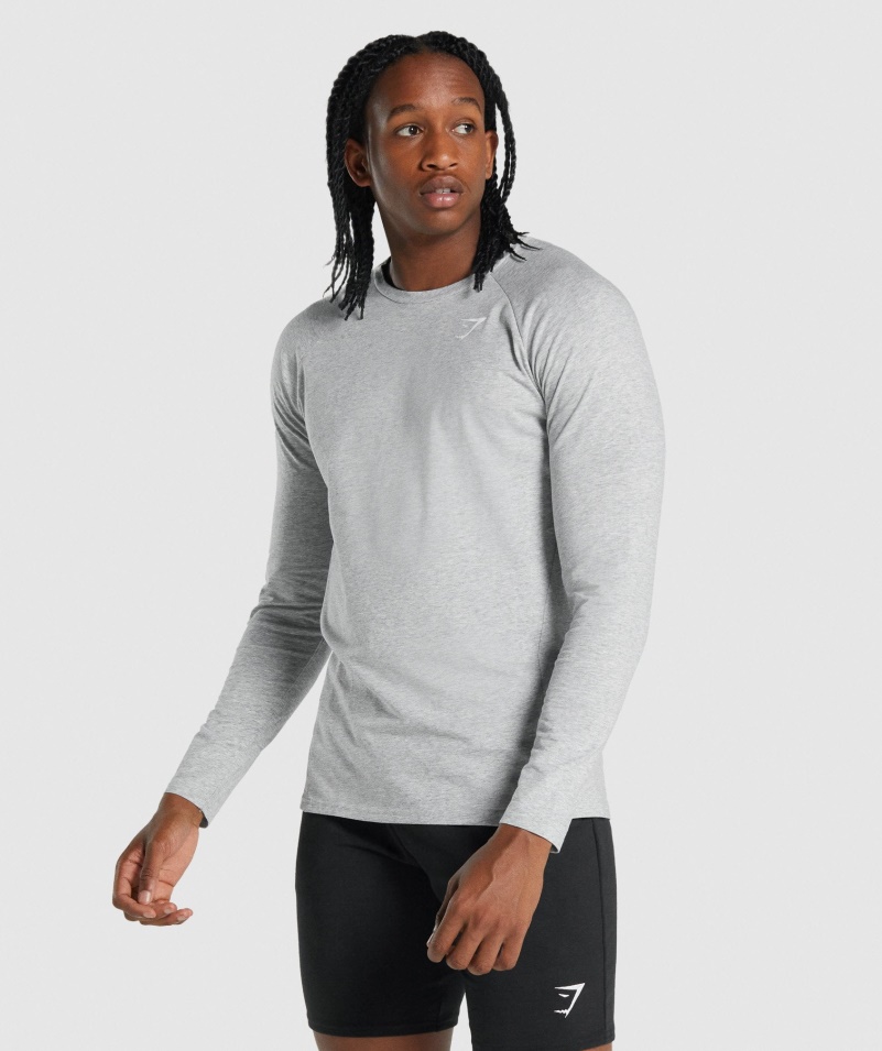 Gymshark Kritické 2.0 Tričko S Dlhým Rukávom Svetlosivé Marl