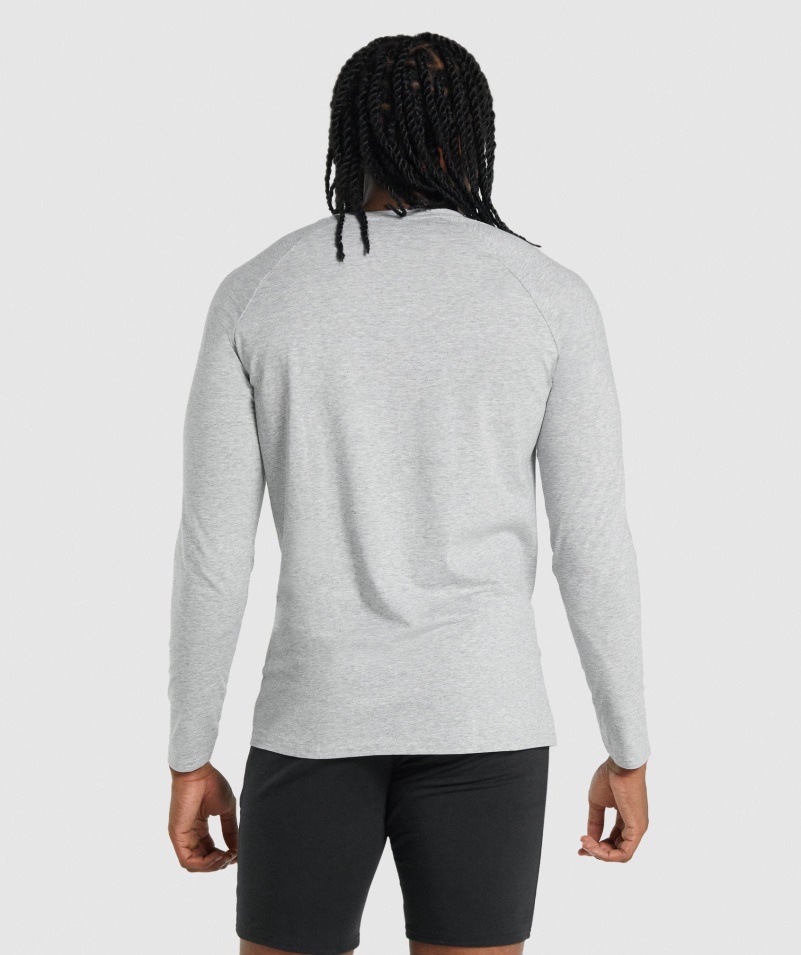 Gymshark Kritické 2.0 Tričko S Dlhým Rukávom Svetlosivé Marl