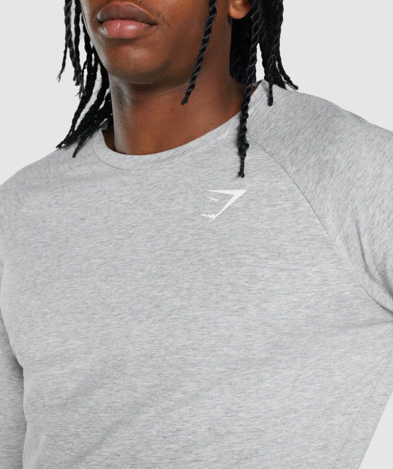 Gymshark Kritické 2.0 Tričko S Dlhým Rukávom Svetlosivé Marl