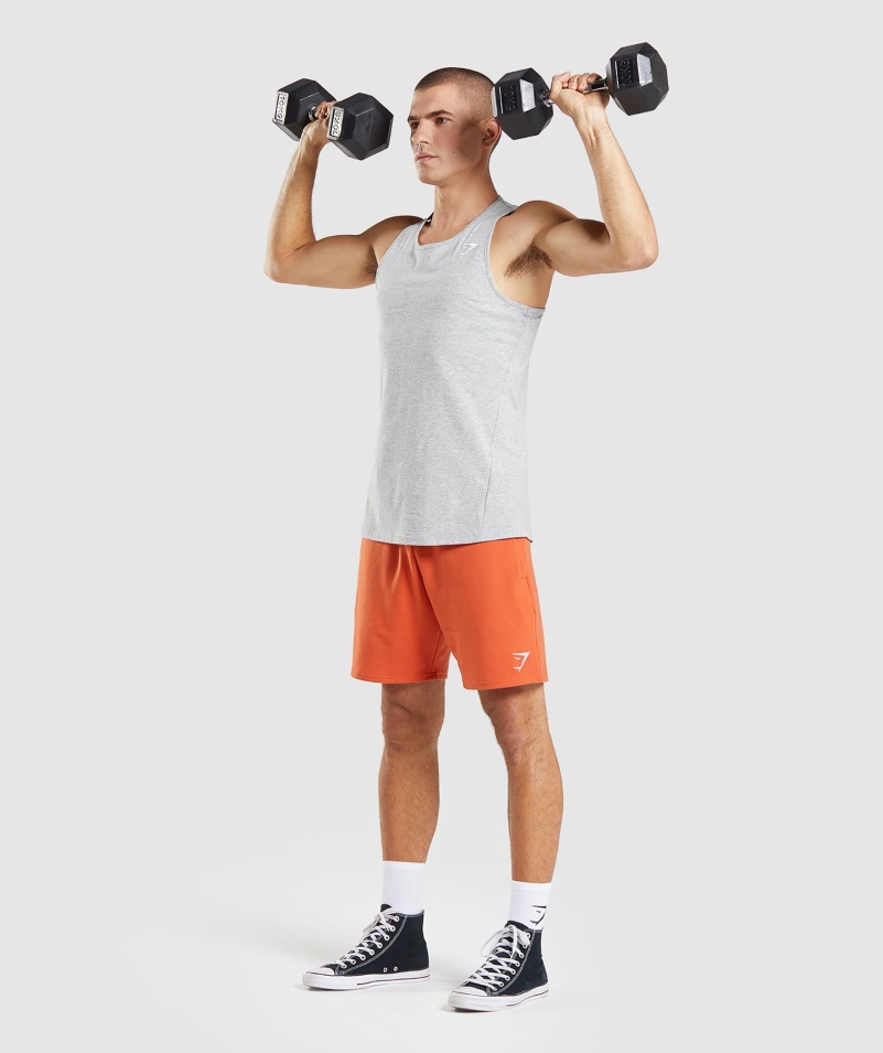 Gymshark Kritická 2.0 Nádrž Svetlo šedá Marl