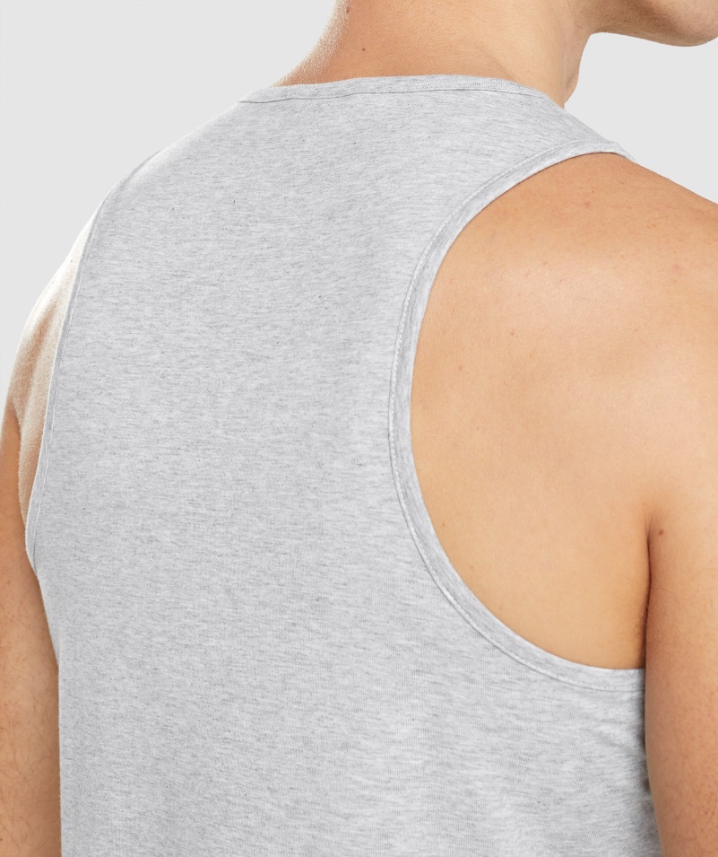 Gymshark Kritická 2.0 Nádrž Svetlo šedá Marl