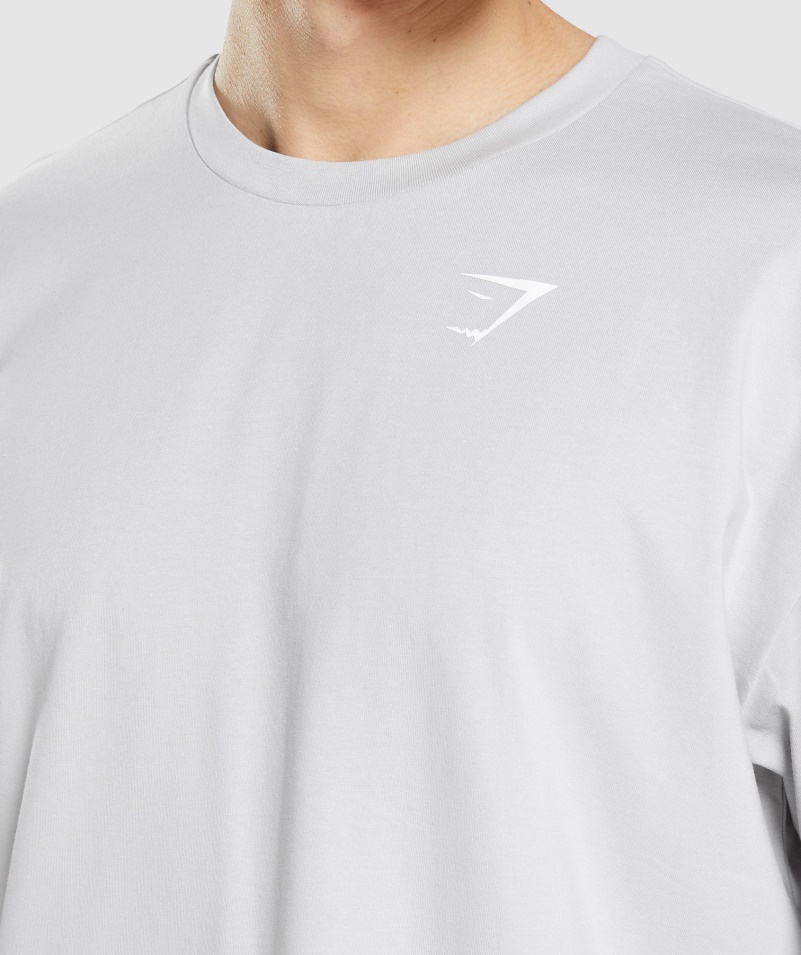 Gymshark Essential Oversized Tričko Svetlosivé