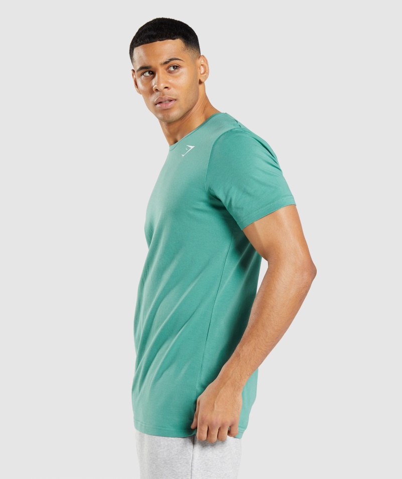Gymshark Esenciálne Tričko Alpská Zelená