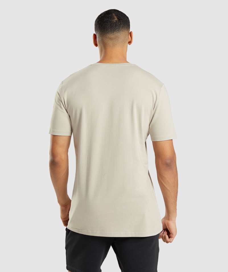 Gymshark Essential Tričko Pebble Grey