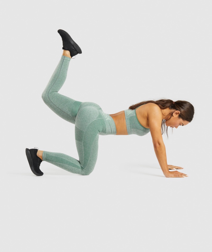 Gymshark Flex Legíny S Vysokým Pásom Studio Green Marl