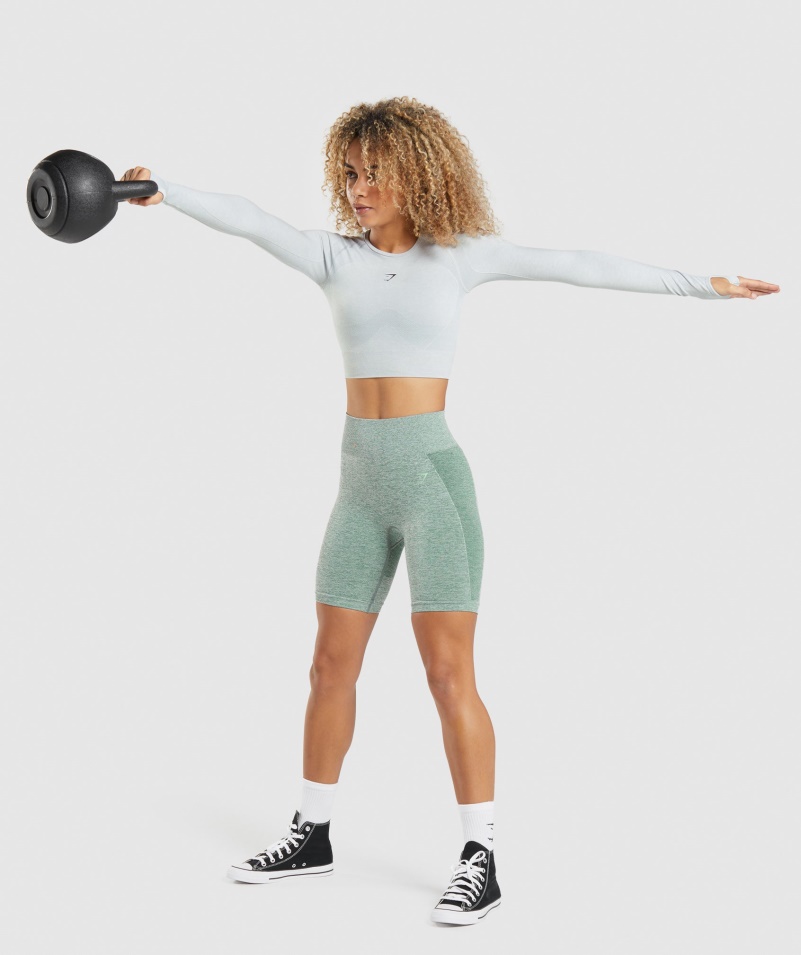 Gymshark Flex Sports Dlhý Rukáv Crop Top Svetlosivý Marl