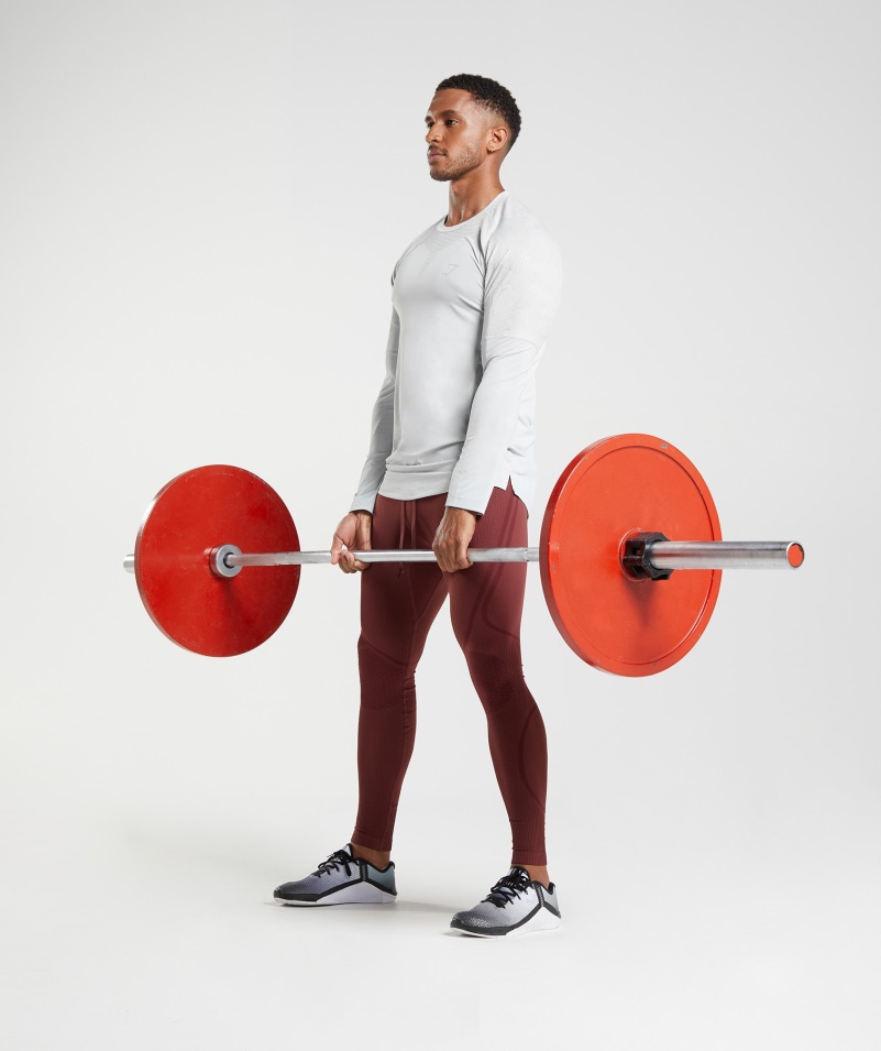 Gymshark Form Tričko S Dlhým Rukávom Svetlosivé