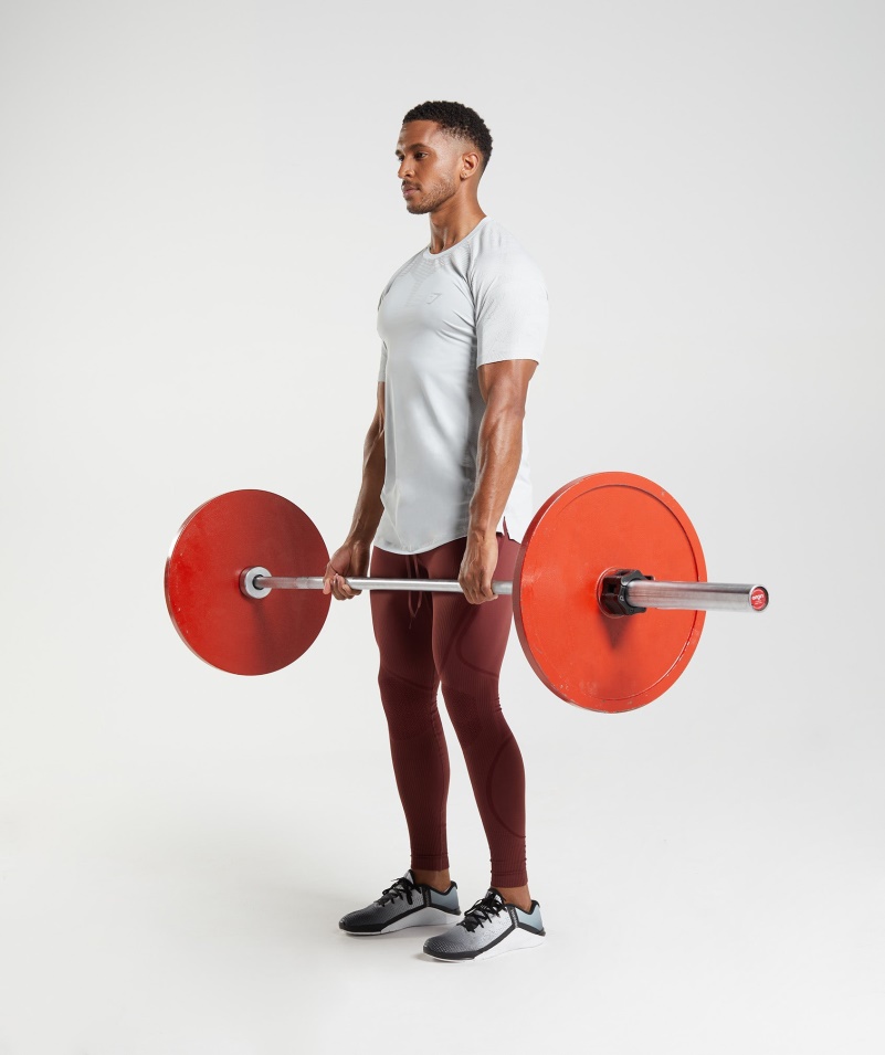 Gymshark Form Tričko Svetlosivé