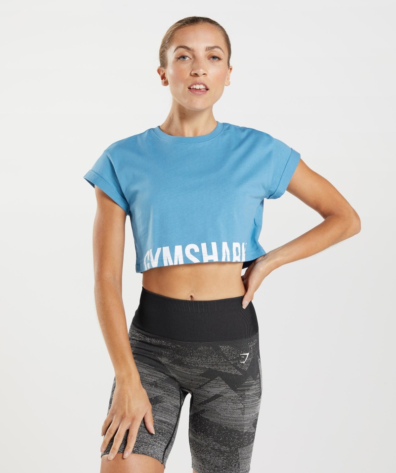 Gymshark Frakcia Crop Top Pobrežná Modrá