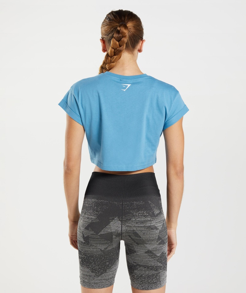Gymshark Frakcia Crop Top Pobrežná Modrá