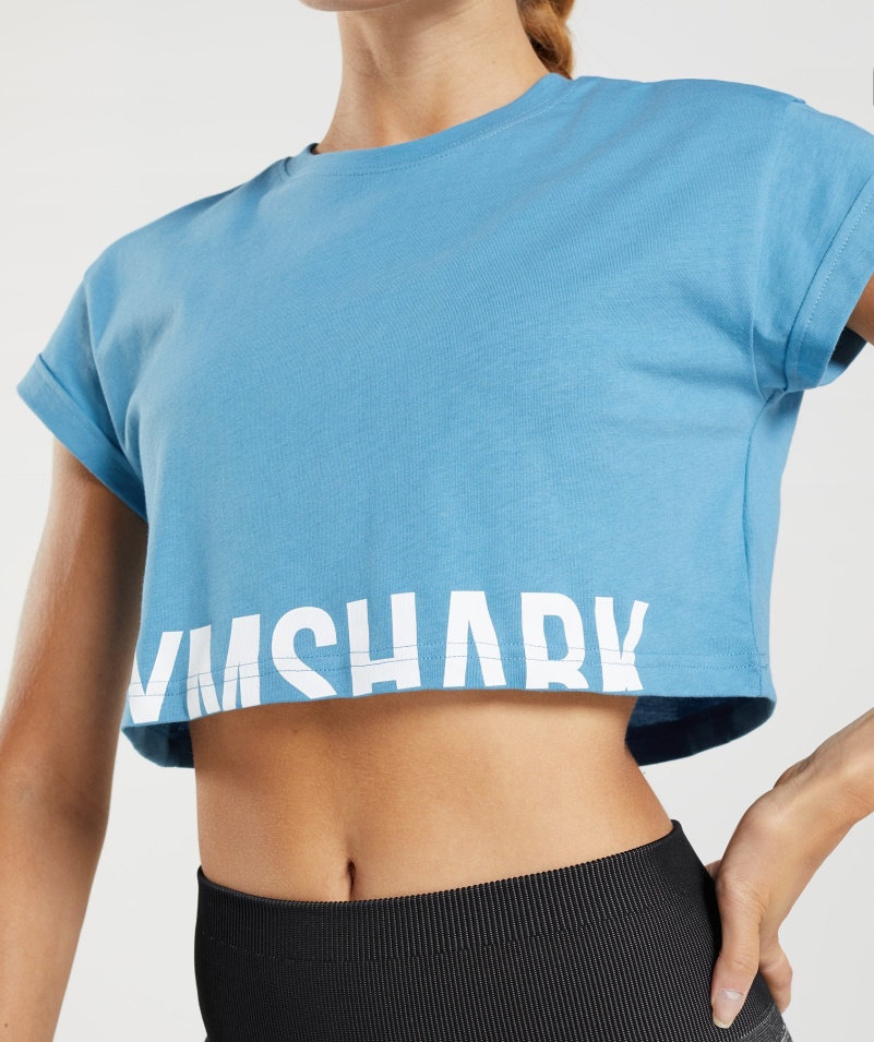 Gymshark Frakcia Crop Top Pobrežná Modrá