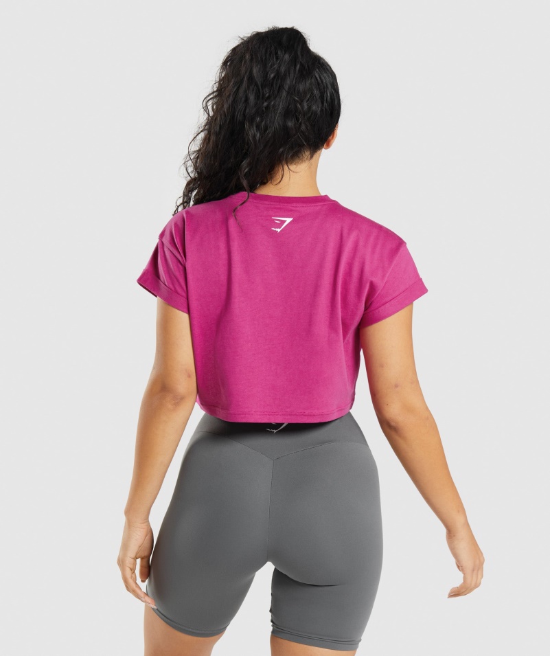 Gymshark Frakcia Crop Top Dragon Pink