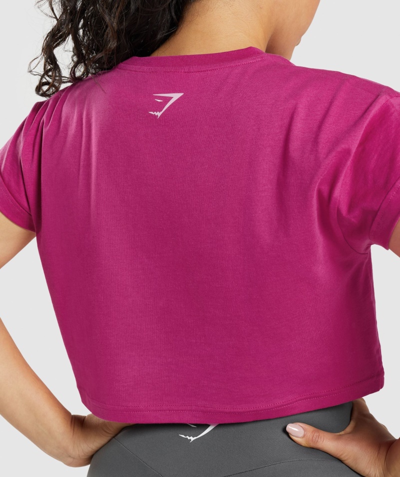 Gymshark Frakcia Crop Top Dragon Pink
