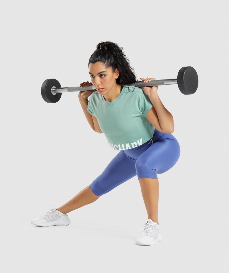 Gymshark Frakcia Crop Top Maya Blue