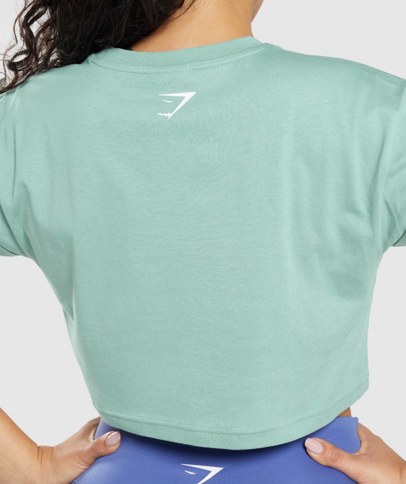 Gymshark Frakcia Crop Top Maya Blue