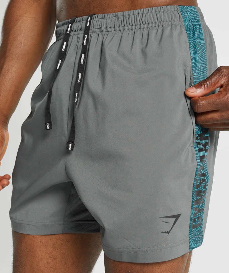 Gymshark Grafické športové šortky šedé