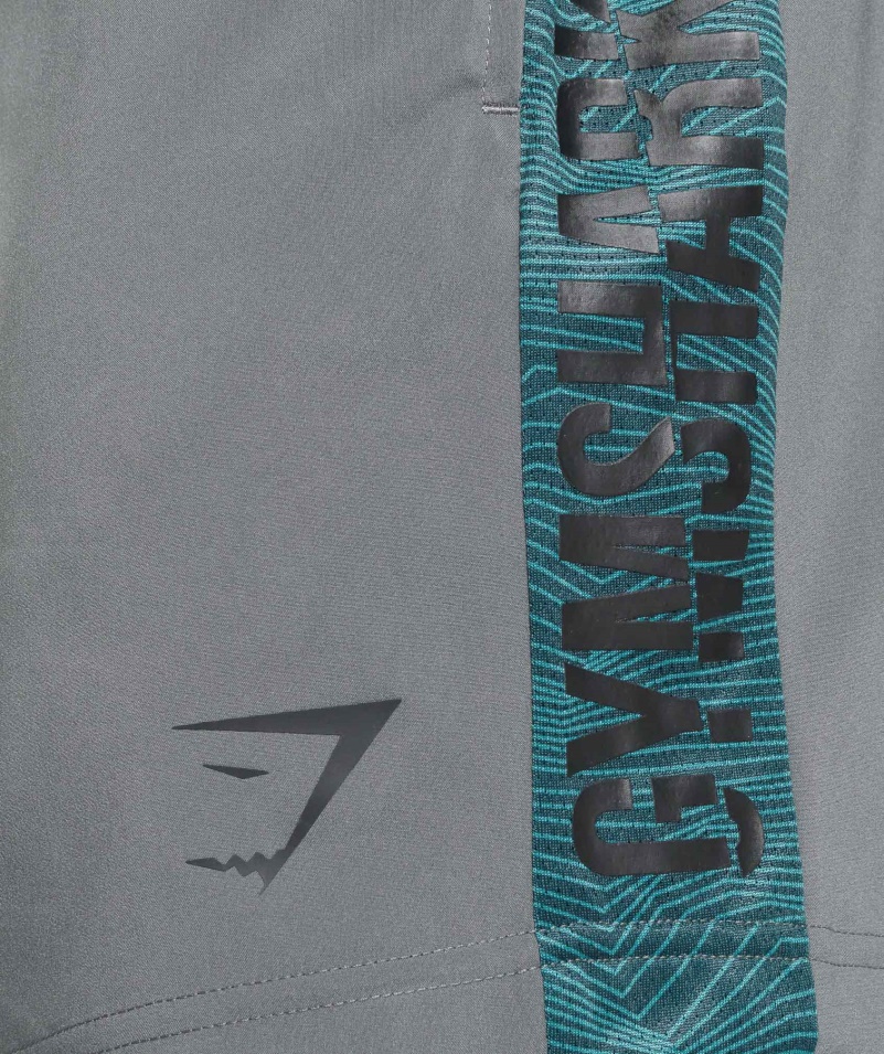 Gymshark Grafické športové šortky šedé