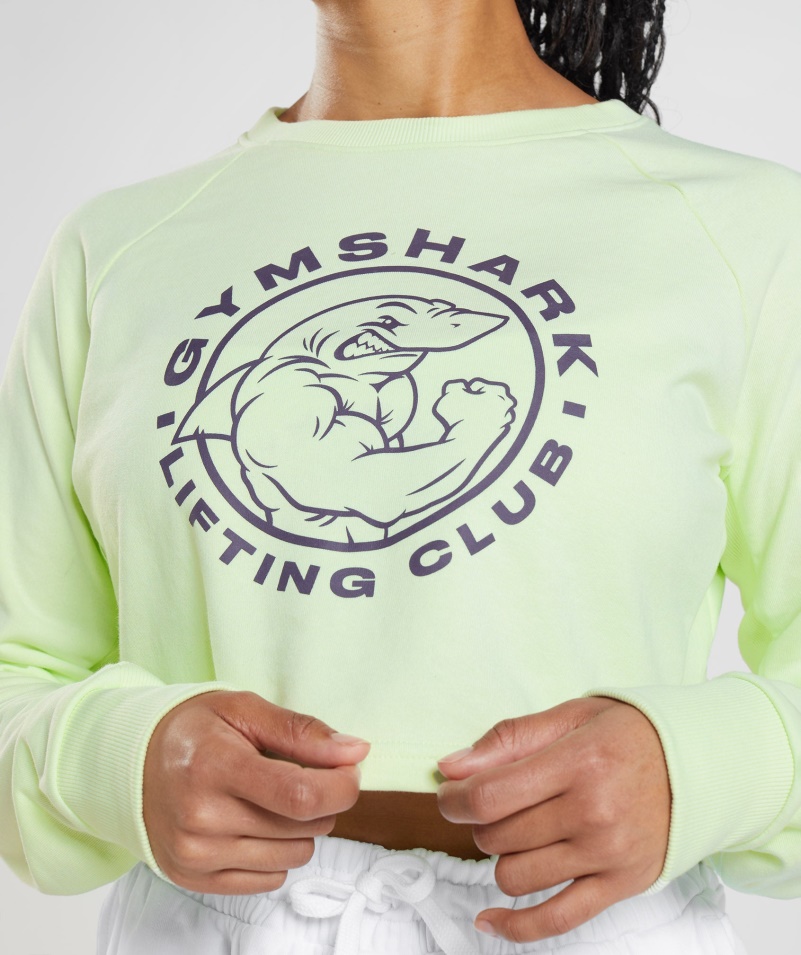 Gymshark Legacy Cropped Sveter Uhorka Zelená