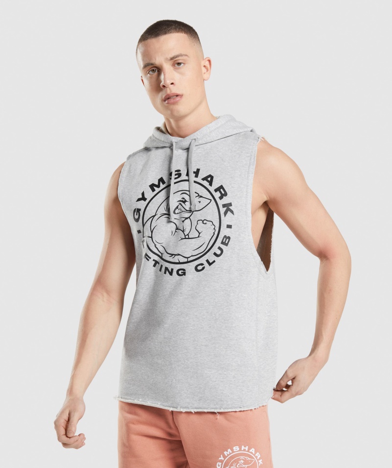 Gymshark Legacy Drop Arm Mikina S Kapucňou Svetlosivá Jadrová Marl